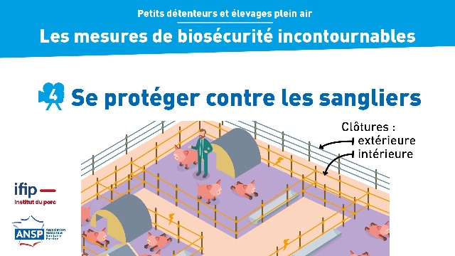 Se protéger contre les sangliers : zone entre clôtures