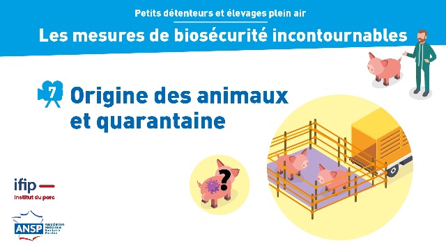 Origine des animaux et quarantaine