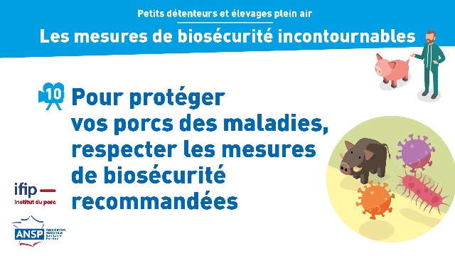 Protéger vos porcs des maladies